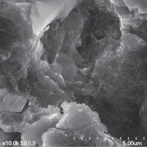 Surface microstructure  of Callus® implants  (MPS, SEM 10.000x)